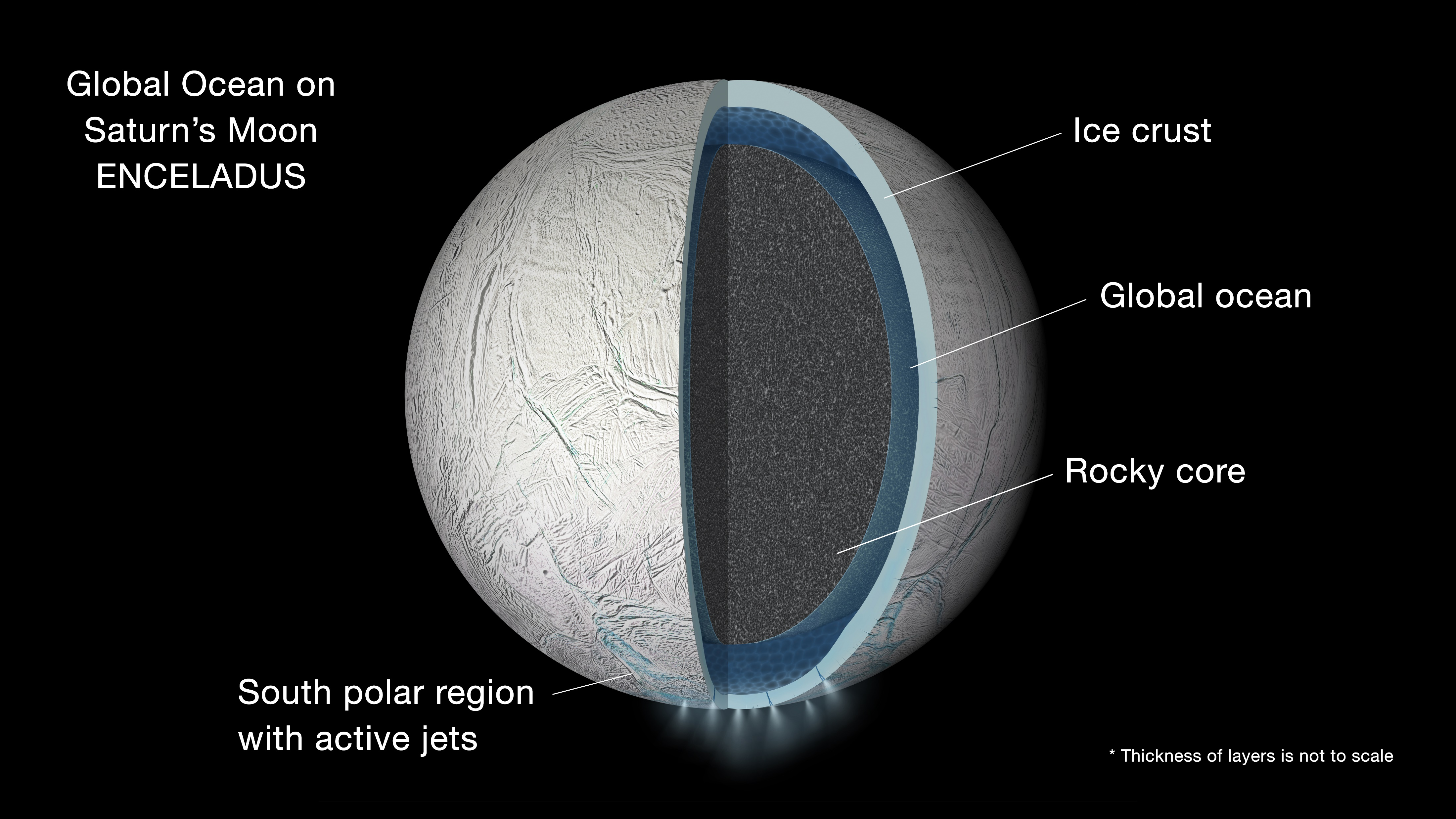 Enceladus Ocean Research